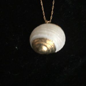 Sea Shell Gold Plated Necklace